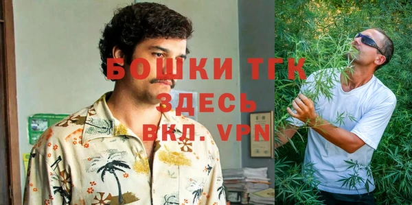гидра Алексин