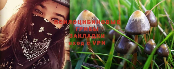 кокс Абаза